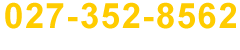 027-352-8562